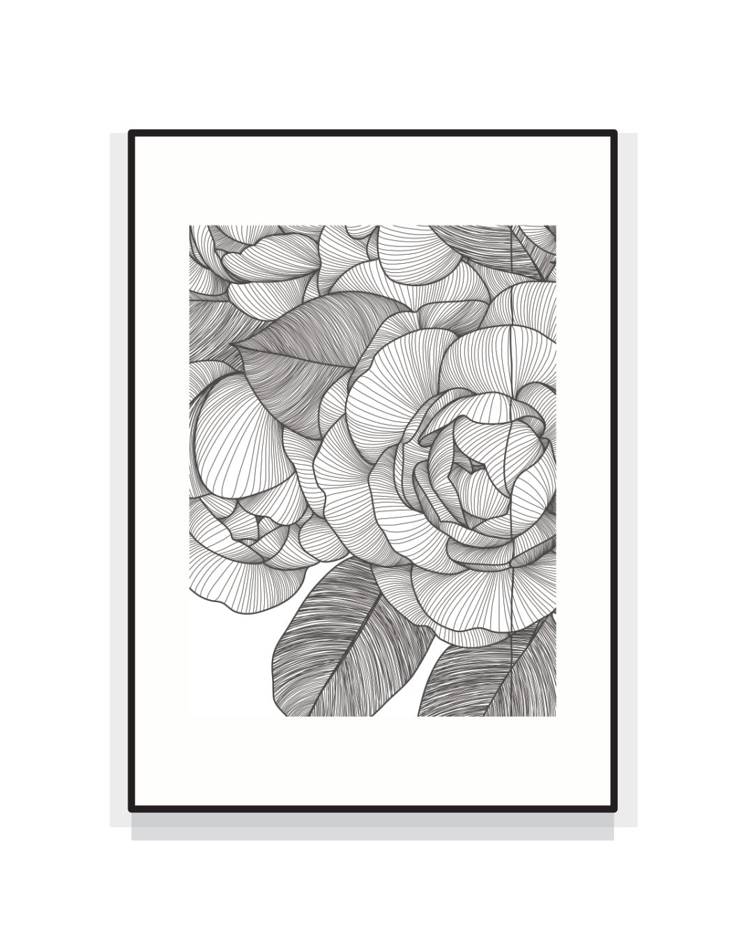 2401. PAEONIA [una malinconica giornata di giugno]