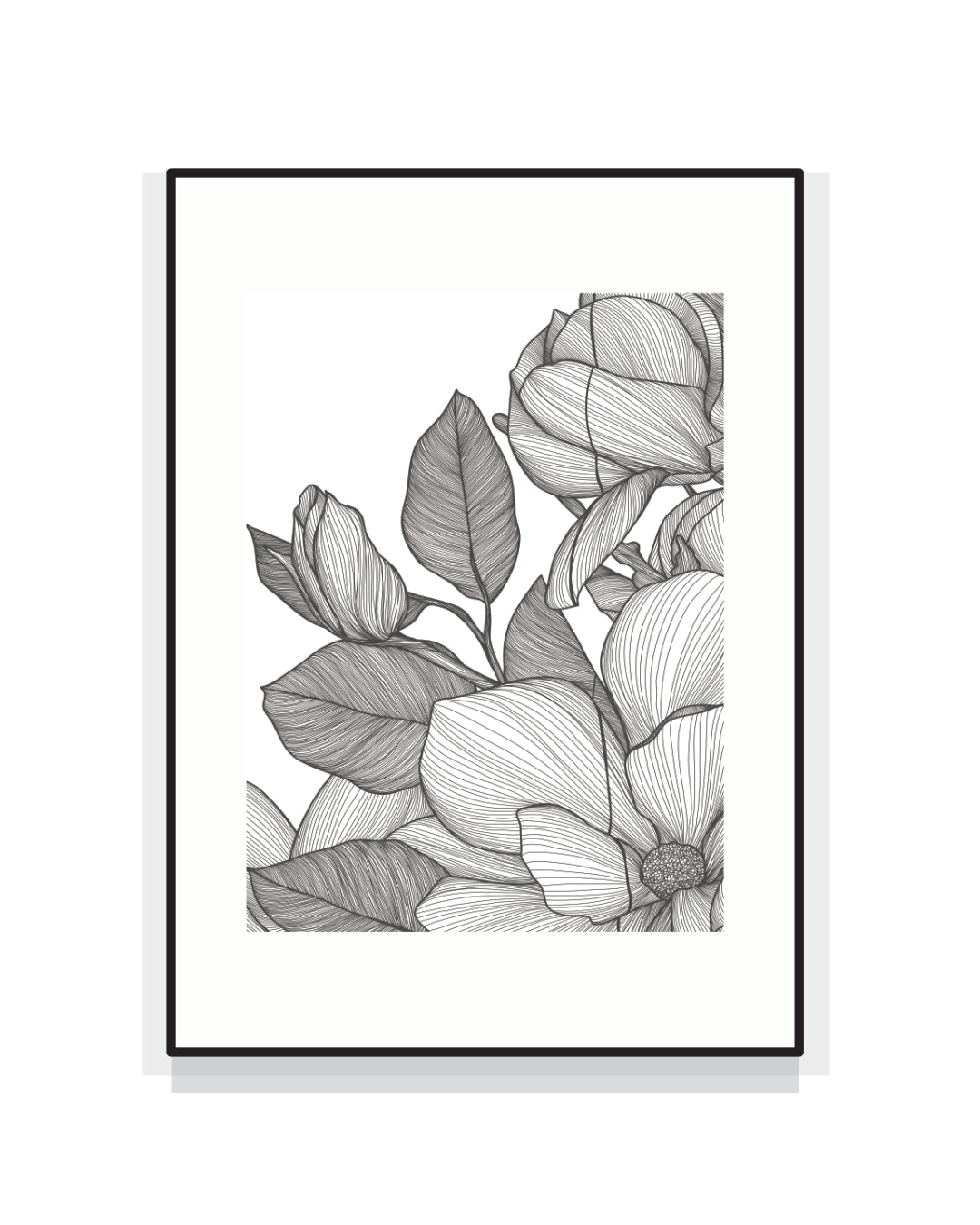 2404. MAGNOLIA GRANDIFLORA [la magnolia del testimone]