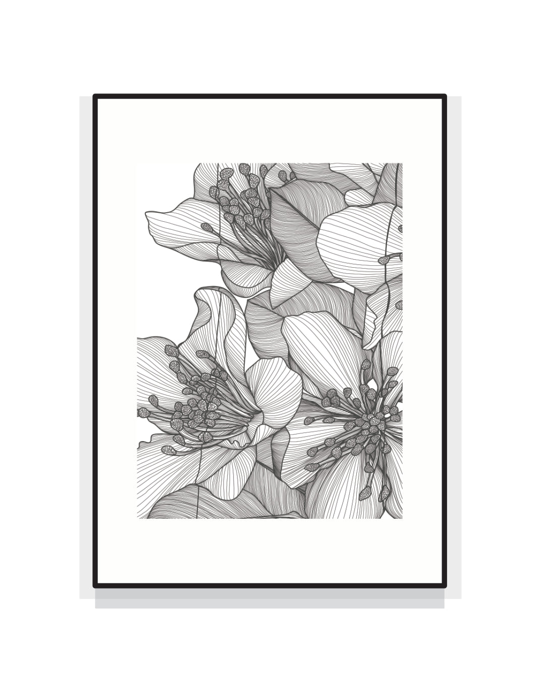 2407. PRUNUS AVIUM