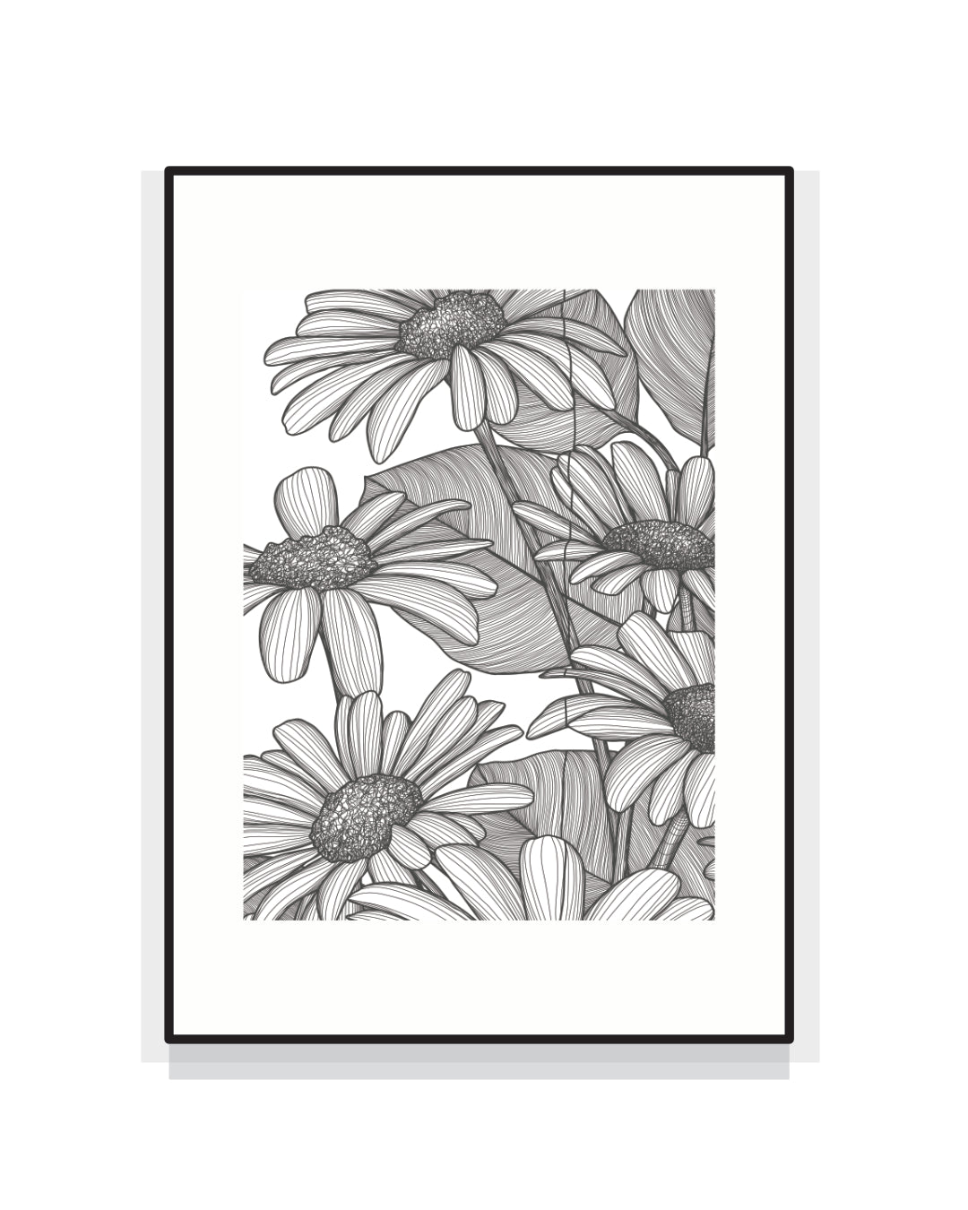 2417. LEUCANTHEMUM VULGARE [margherite per papà]