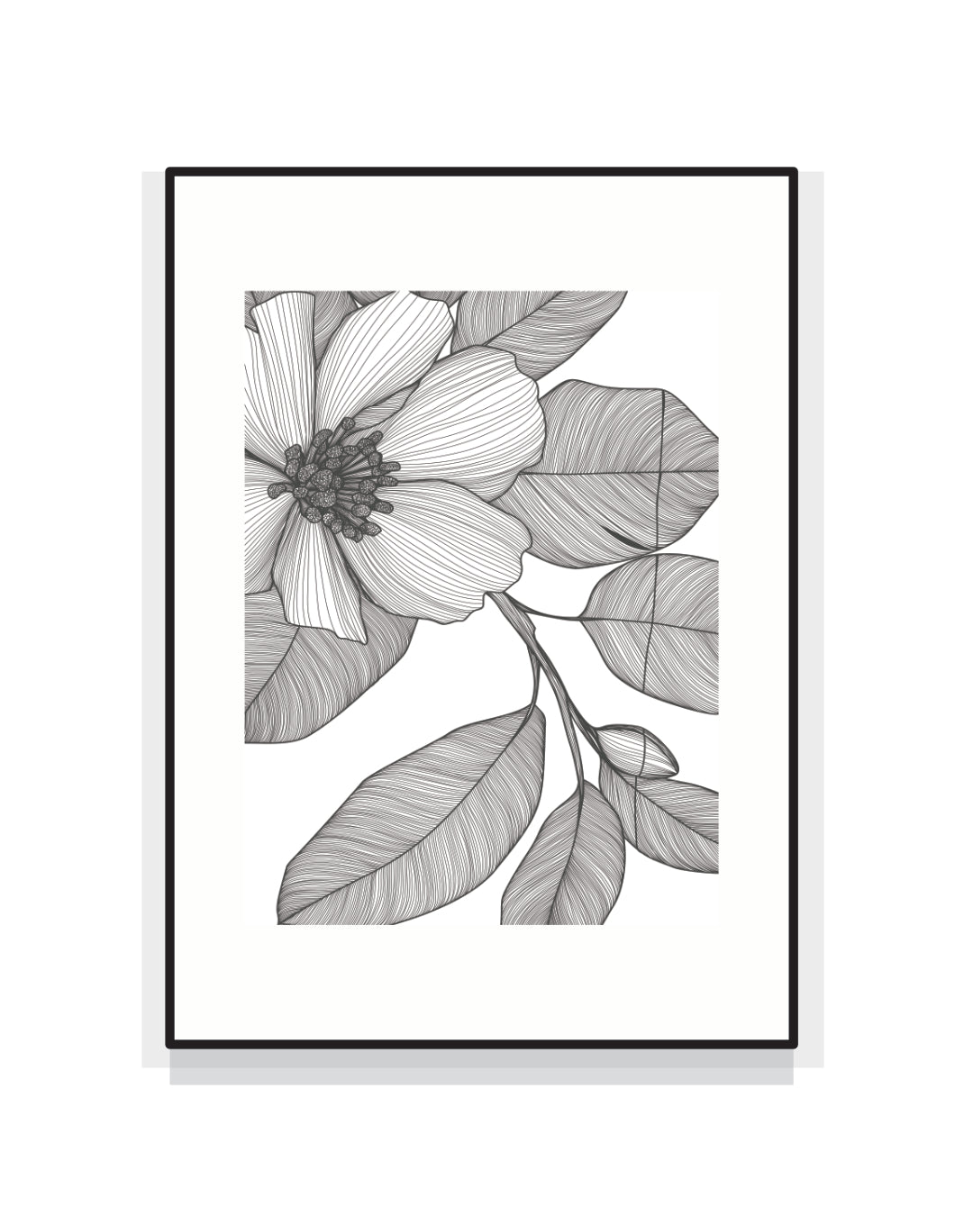 2524. ROSA CANINA