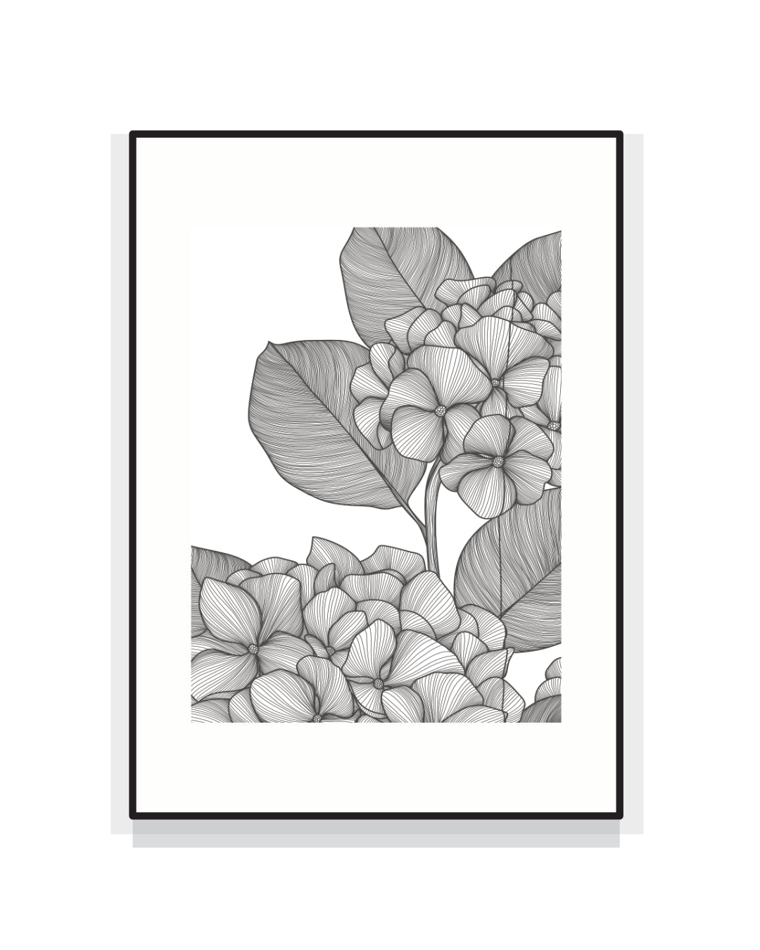 2525. HYDRANGEA