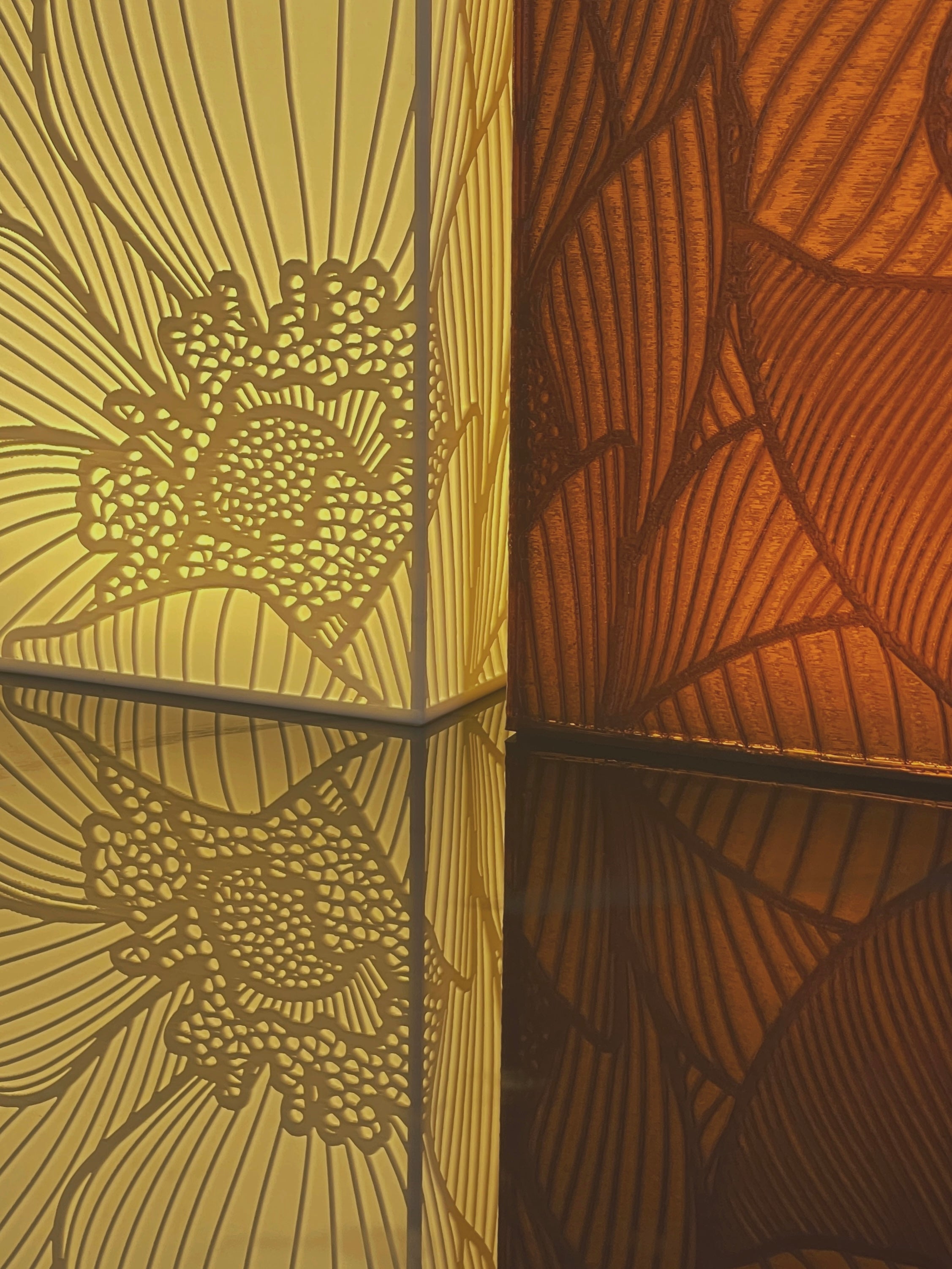 THE AMBER ANEMONE [limited ed.]