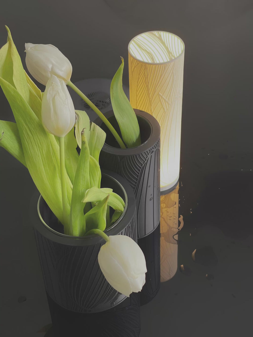 [sold out] TULIPA COMPOSITION BUNDLE